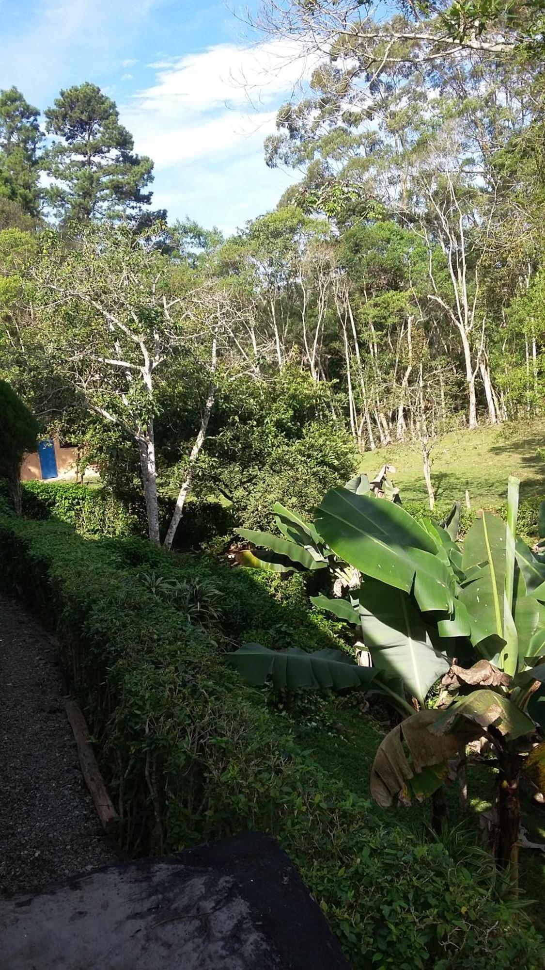 Kitnet Em Meio A Mata Atlantica Juquitiba Eksteriør bilde